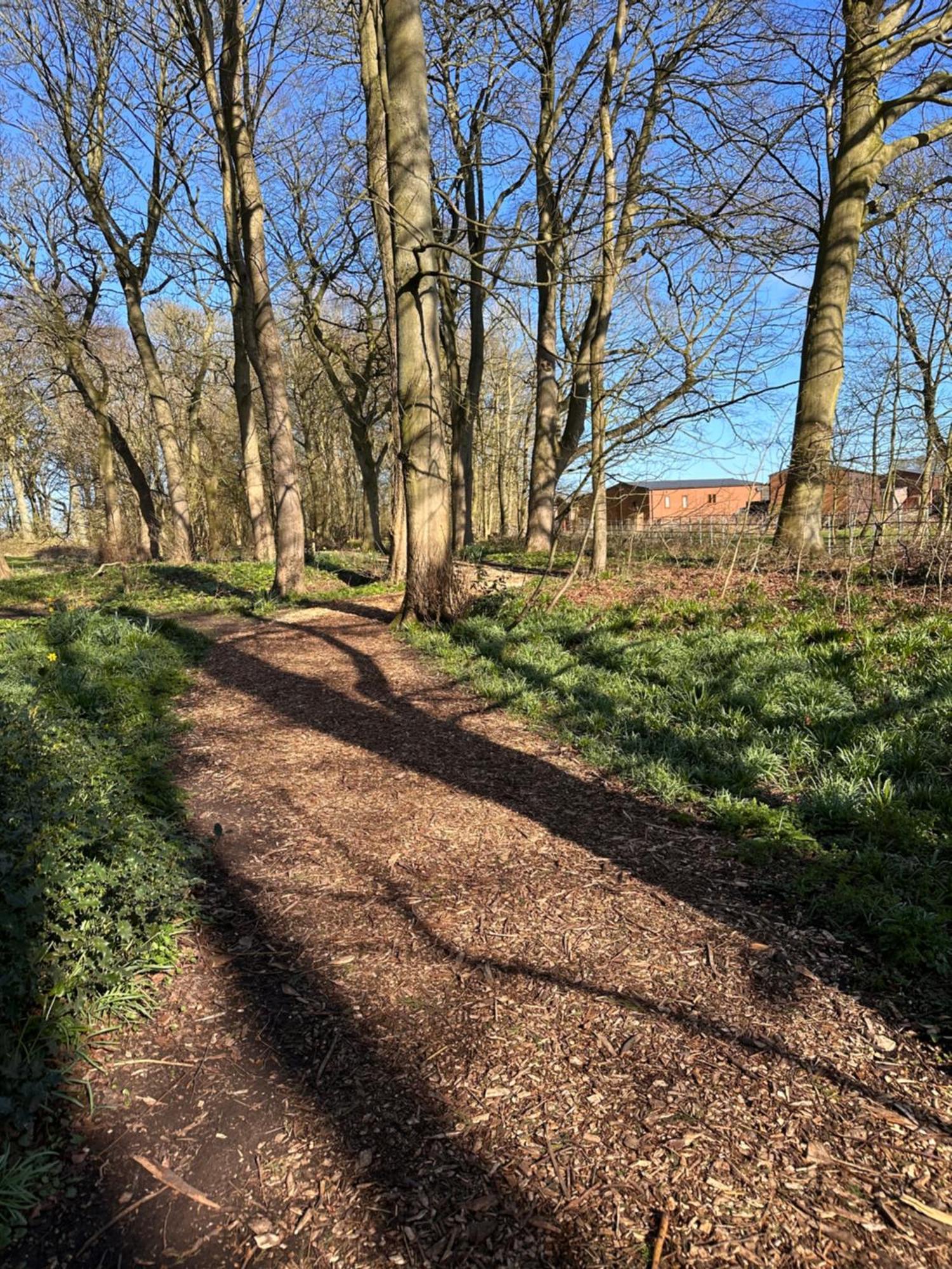 Max'S Woodland Lodge Bridlington Zewnętrze zdjęcie