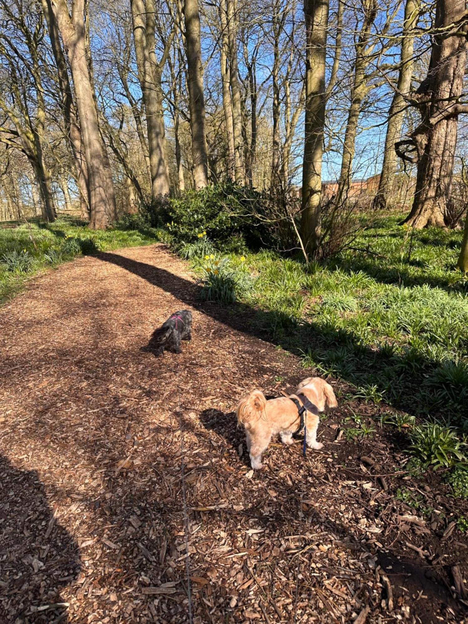 Max'S Woodland Lodge Bridlington Zewnętrze zdjęcie