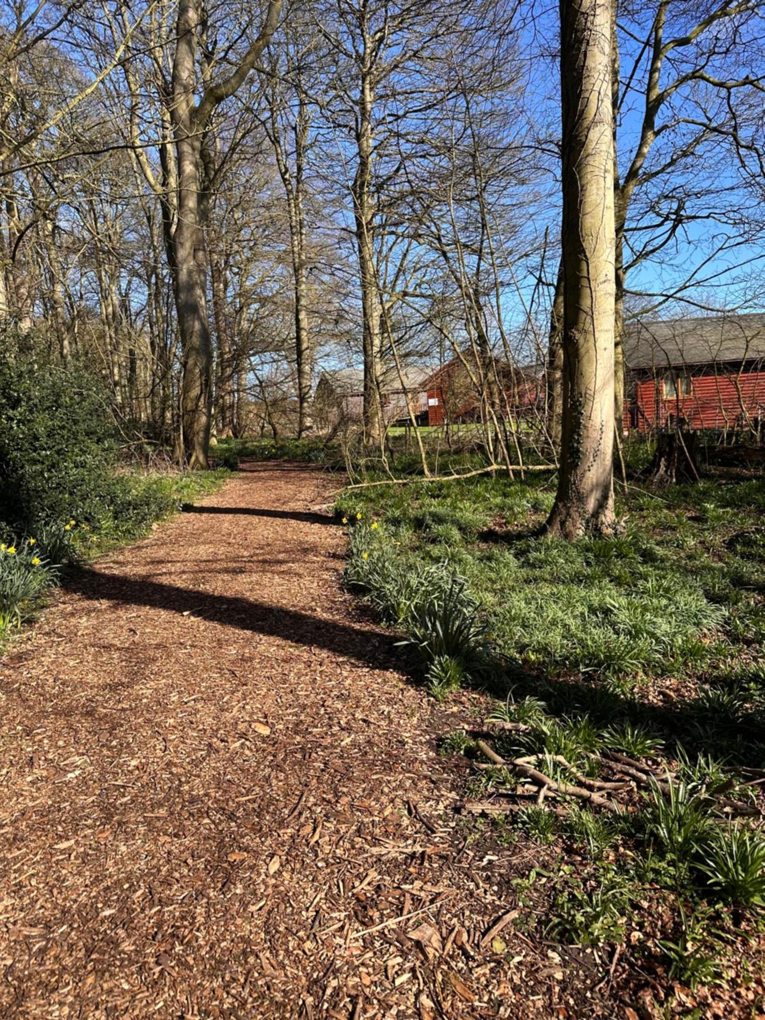 Max'S Woodland Lodge Bridlington Zewnętrze zdjęcie