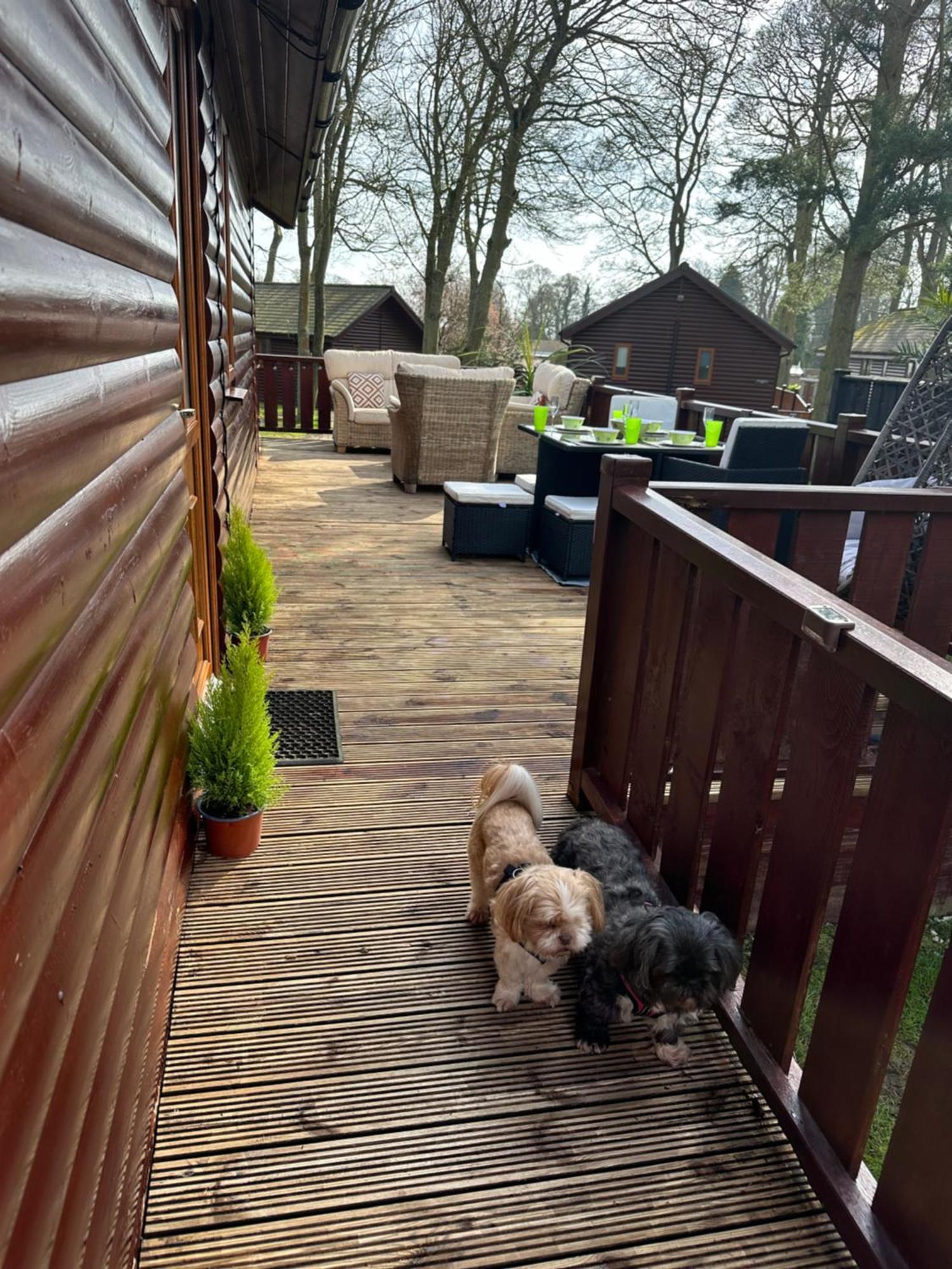 Max'S Woodland Lodge Bridlington Zewnętrze zdjęcie
